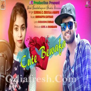 Sambalpuri bewafa dj online song