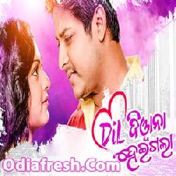 Dil diwana heigala 2024 full movie hd 720p