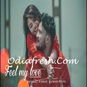 Feel My Love Remix Dj Rs Mp3 Song Download 320kbps Paglasongs