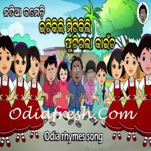 Itikili Mitikili Fhutigala Kaincha Odia Rhymes Song, Odia Song mp3 Download Itikili Mitikili Fhutigala Kaincha Odia Rhymes Song, Odia Song mp3 Download