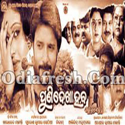 Puni Dekha Heba Ara Janamare (2014) Puni Dekha Heba Ara Janamare (2014)