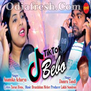 tik tok video download mp3