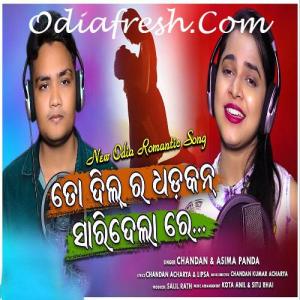 Dhadkan mp4 song free download