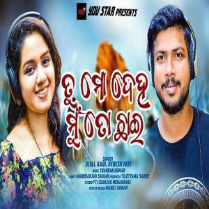 Tu Mo Deha Mu To Chhai - Odia Song mp3 Download