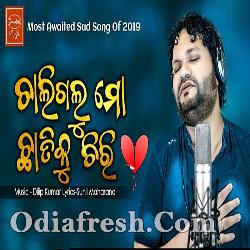 Chaligalu Mo Chatiku Chiri Sad Song By Human Sagar Odia Song Mp3 Download O re priya( studio version) singer : chaligalu mo chatiku chiri sad song by