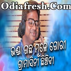 Bhanda Gacha Mule Odia New Funny Dance Song, Odia Song mp3 Download