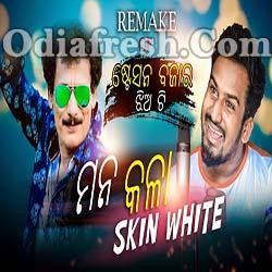 Mana Kala Skin White Odia New Funny Song By Bunty, Odia Song mp3 Download